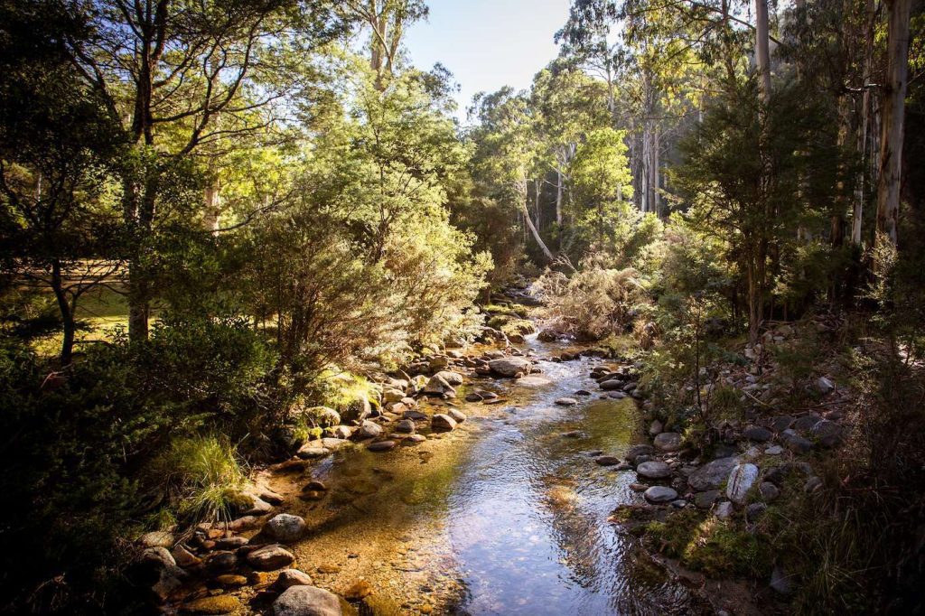 Leather Barrel Creek