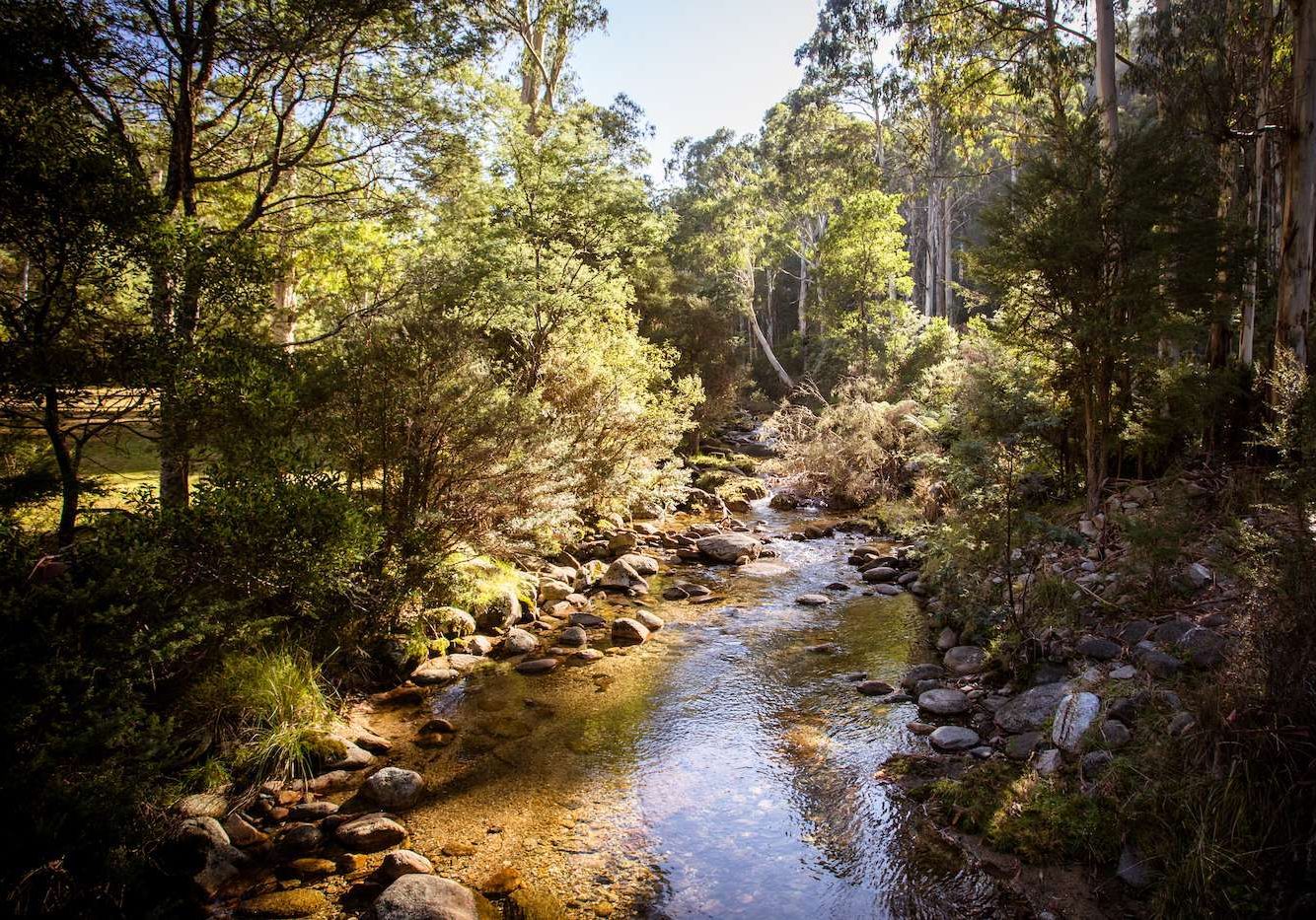 Leather Barrel Creek